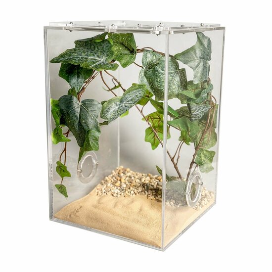 Insecten terrarium cross ventilatie