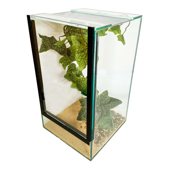 Insecten terrarium glas met inrichting