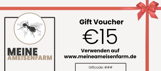 Gift voucher 15 euro