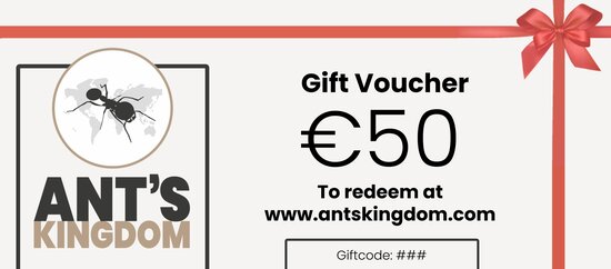 Gift voucher 50 euro