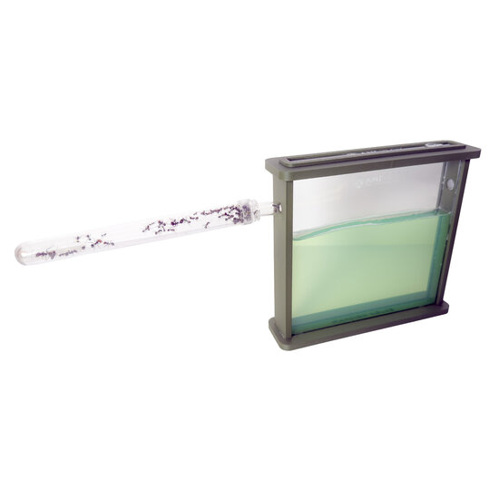 Ant's Kingdom Gel antfarm GREEN including ants