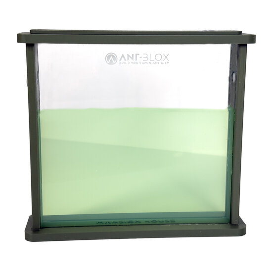 Ant&#039;s Kingdom Gel antfarm GREEN including ants