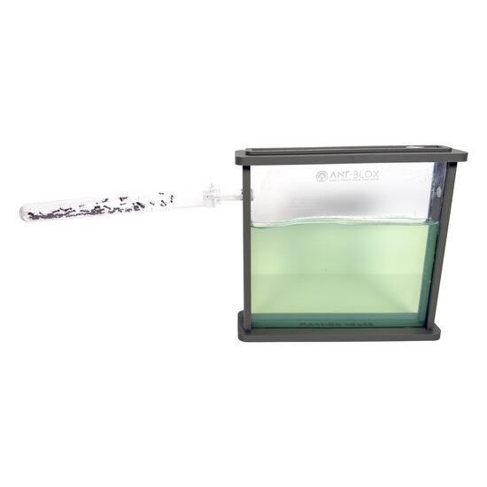 Ant&#039;s Kingdom Gel antfarm GREEN including ants