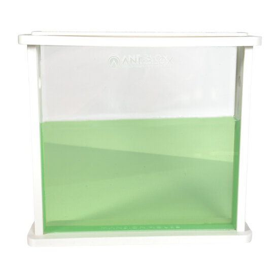 Ant's Kingdom Gel antfarm WHITE including ants