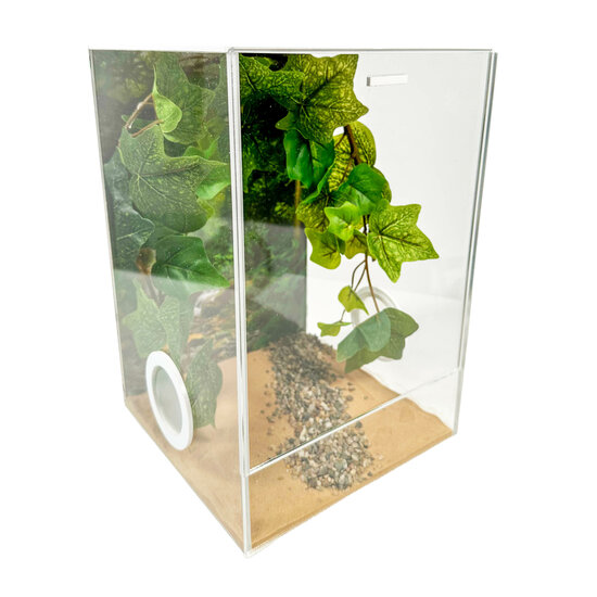 Insect Terrarium CUBE deluxe 20x20x30