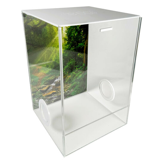 Insect Terrarium CUBE deluxe 20x20x30