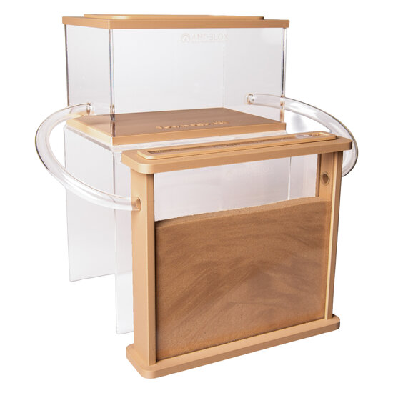 Antfarm sand harvester ant complete set (Messor barbarus)