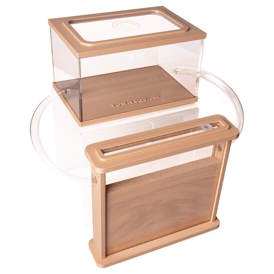 Antfarm sand harvester ant complete set (Messor barbarus)