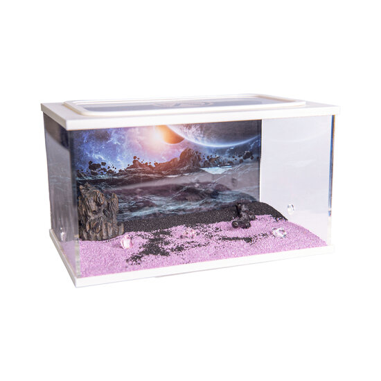 City Square WHITE (Arena 20x13x12)