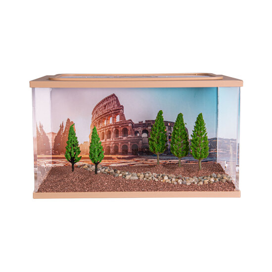 City Square BROWN (Arena 20x13x12)