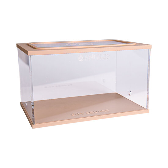 City Square BROWN (Arena 20x13x12)