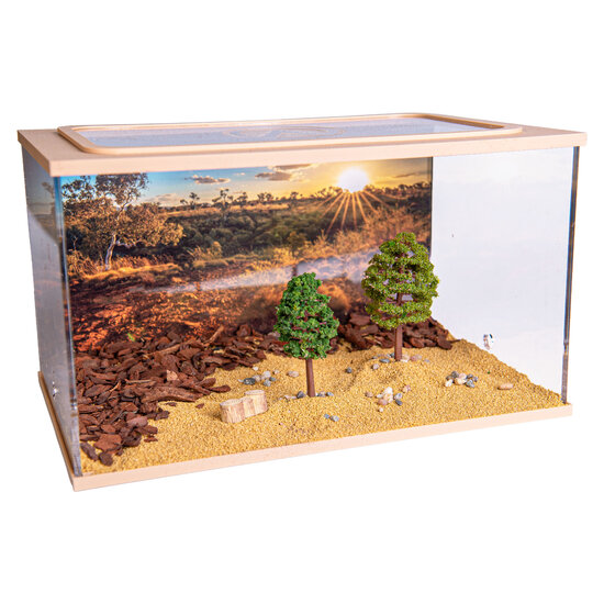 Capital Square BROWN (Arena 25x16x15)