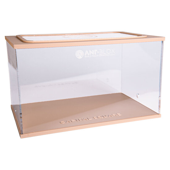 Capital Square BROWN (Arena 25x16x15)