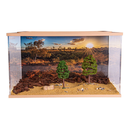 Capital Square BROWN (Arena 25x16x15)