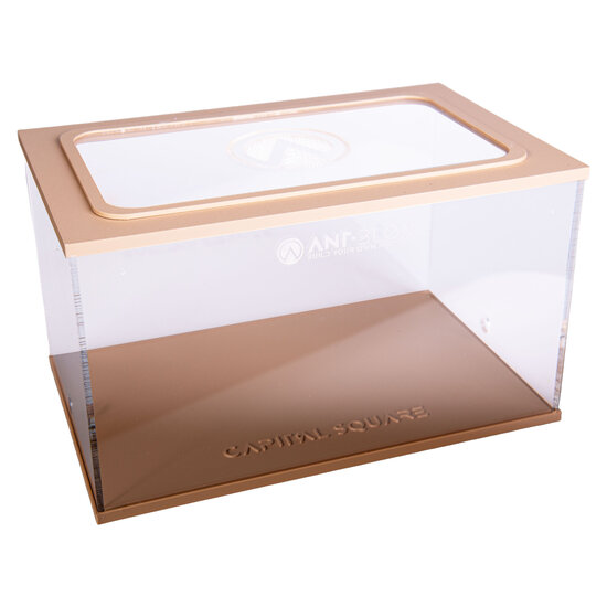 Capital Square BROWN (Arena 25x16x15)