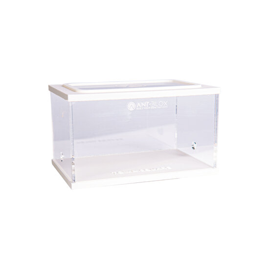 Town Square WHITE (Arena 15x10x9)