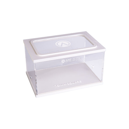 Town Square WHITE (Arena 15x10x9)