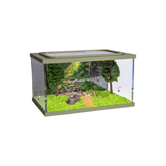 Town Square GREEN (Arena 15x10x9)