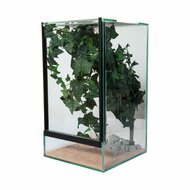Insect Terrarium
