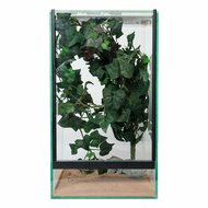 Insect Terrarium