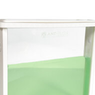 Ant's Kingdom Gel antfarm WHITE including ants