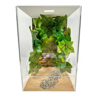 Insect Terrarium CUBE deluxe 20x20x30
