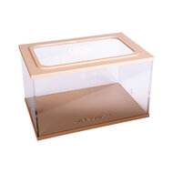 Capital Square BROWN (Arena 25x16x15)