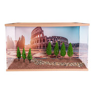 Capital Square BROWN (Arena 25x16x15)