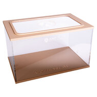 Capital Square BROWN (Arena 25x16x15)