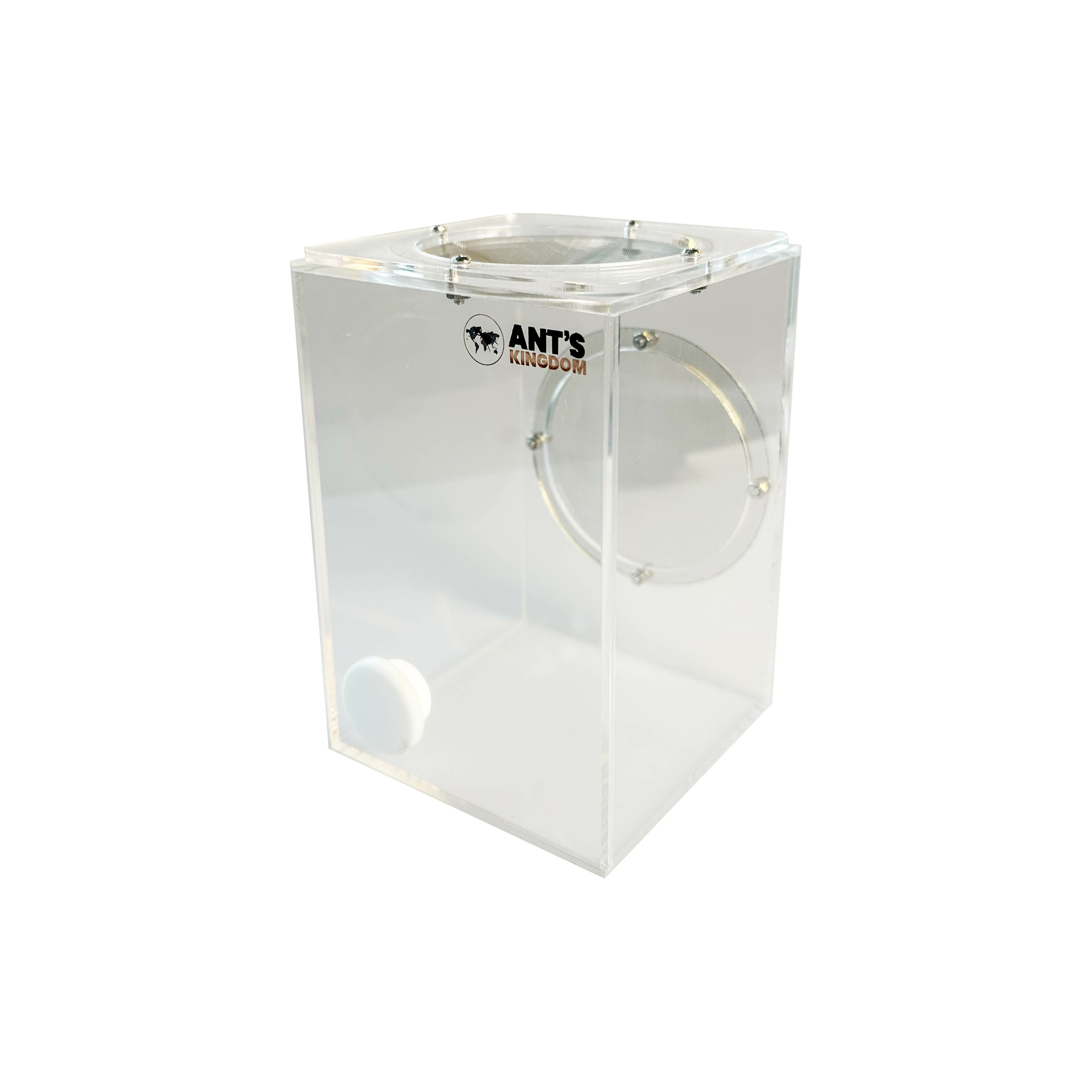 Large insect terrarium 10x10x15