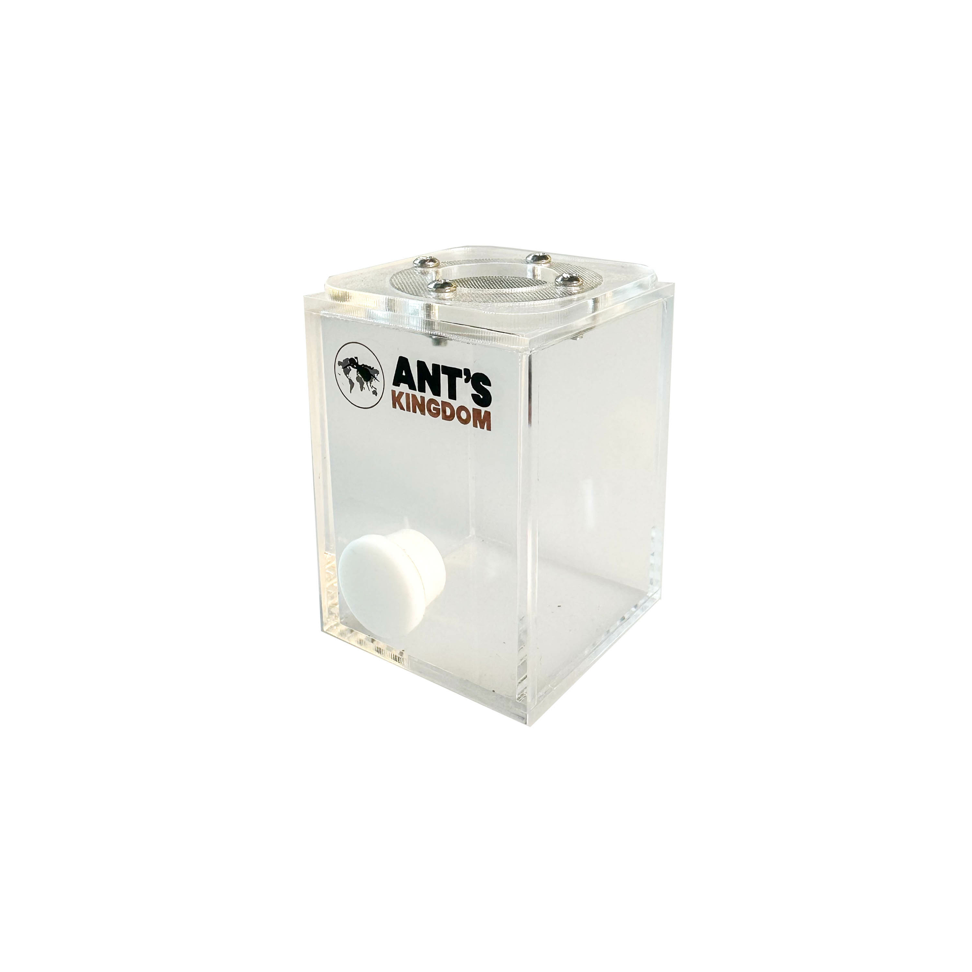 Mini insect terrarium 5x5x7