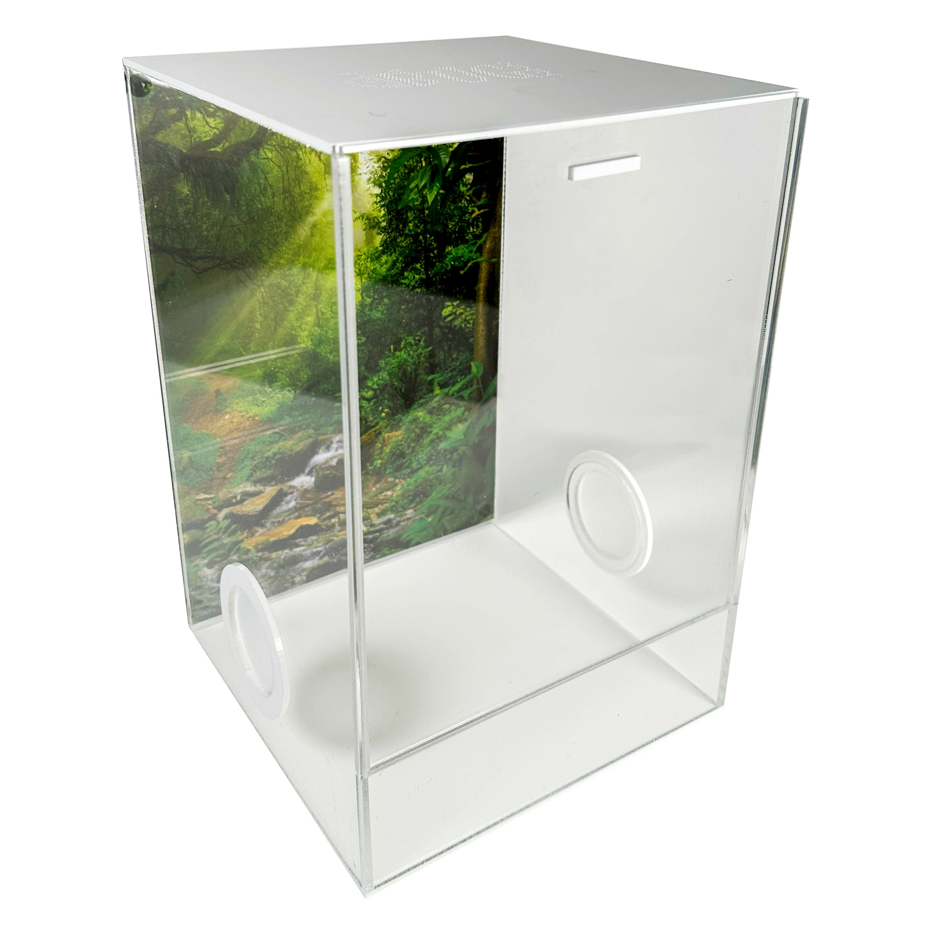 Insect Terrarium CUBE deluxe 20x20x30