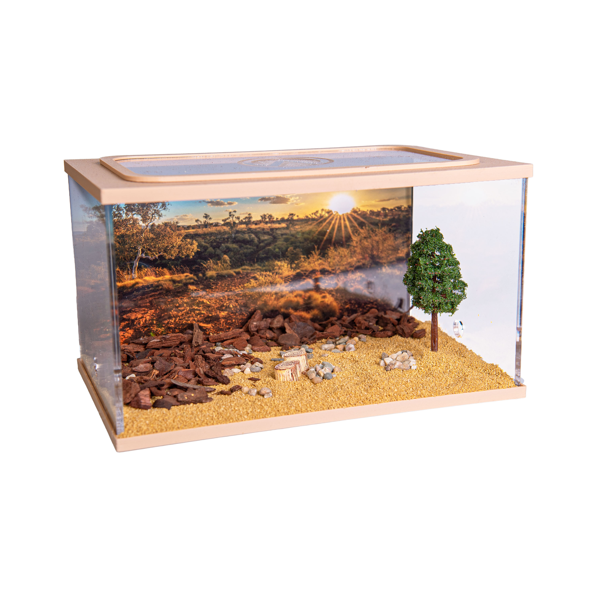 City Square BROWN (Arena 20x13x12)