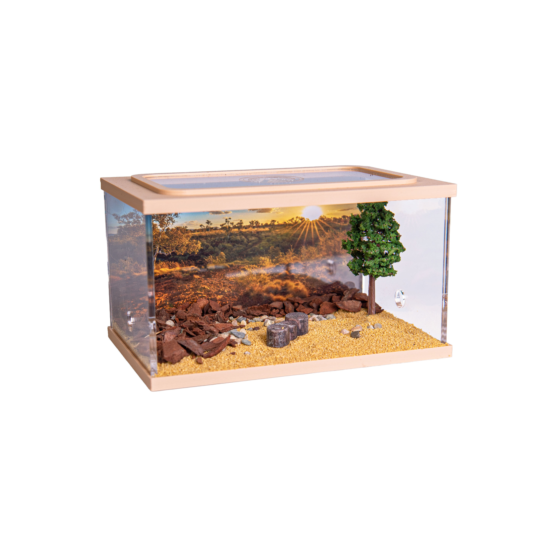 Town Square BROWN (Arena 15x10x9)