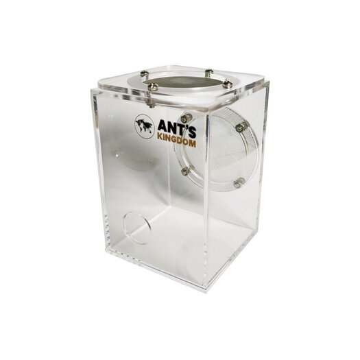 A unique terrarium for breeding and keeping jumping spiders