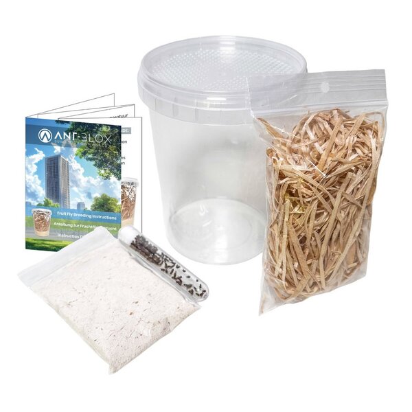 Fruit fly breeding kit