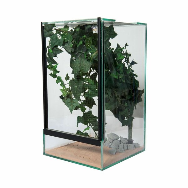 Insect Terrarium