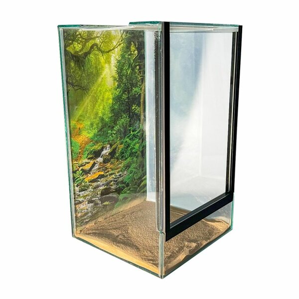 Insect Terrarium
