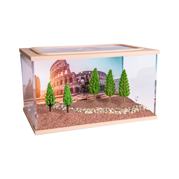 City Square BROWN (Arena 20x13x12)