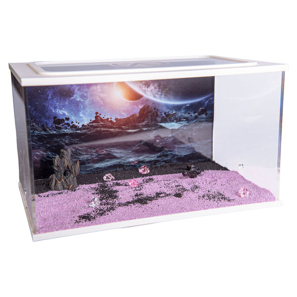 Capital Square WHITE (Arena 25x16x15)