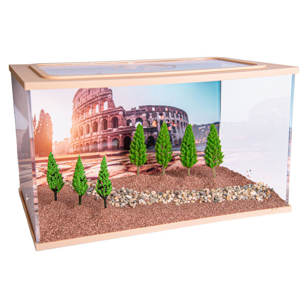 Capital Square BROWN (Arena 25x16x15)