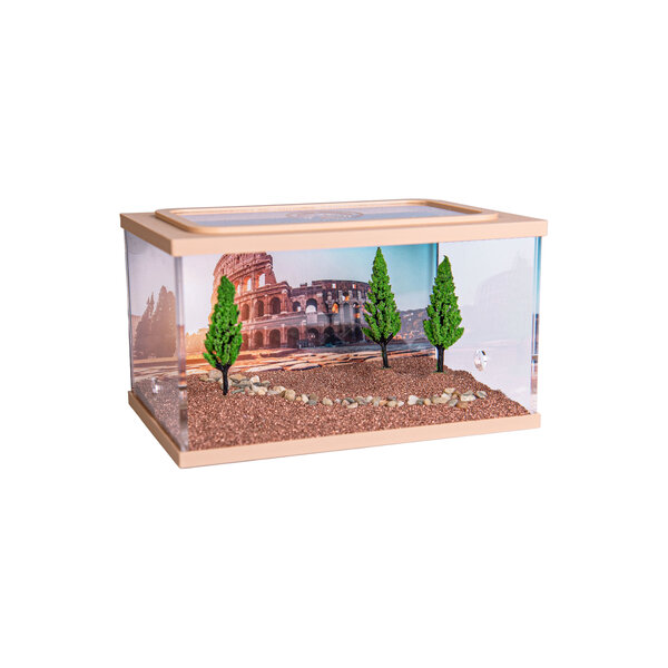 Town Square BROWN (Arena 15x10x9)