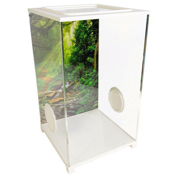 Insect Terrarium - BioDome White (20x20x34)
