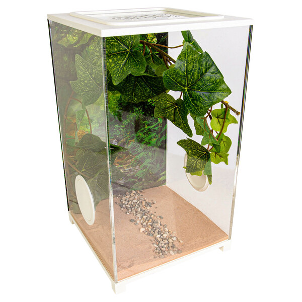 Insect Terrarium - BioDome White (20x20x34)