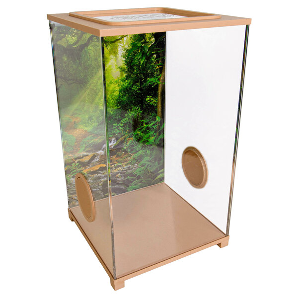 Insect Terrarium – BioDome Brown (20x20x34 cm)