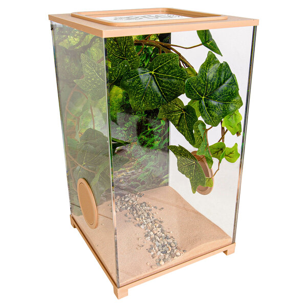 Insect Terrarium – BioDome Brown (20x20x34 cm)