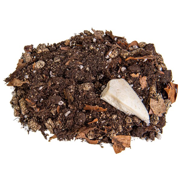 Isopods Breeding Substrate – Complete Soil with Nutrients & Cuttlebone