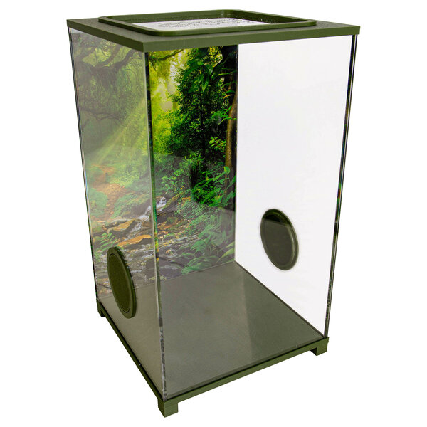 Insect Terrarium – BioDome Green (20x20x34 cm)