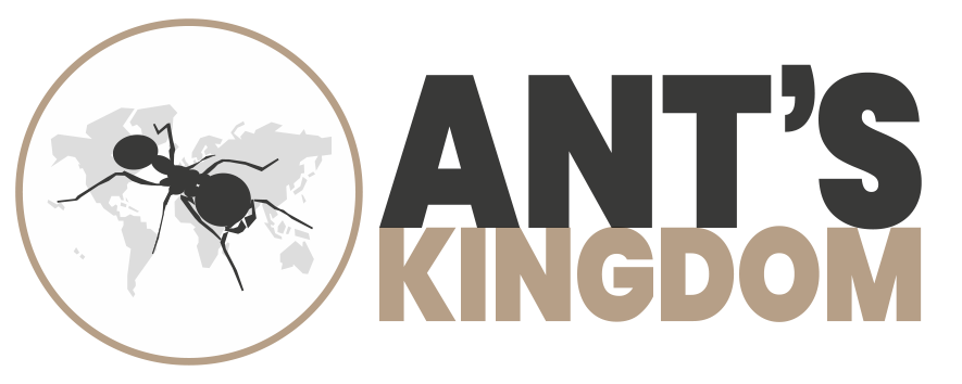logo Ant's Kingdom